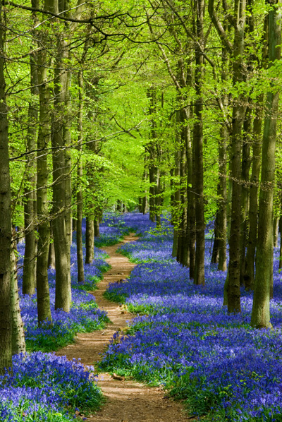 Counselling Services Swindon